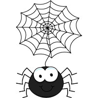 spider web